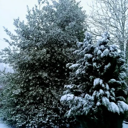 Casa rural Casal De Drados